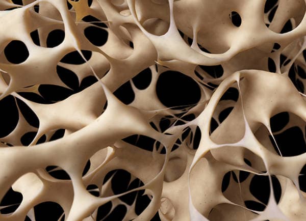 Witamina K2 i zdrowie kości